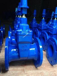 Van Cổng AUT DN65