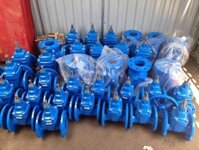 Van Cổng Ty chìm ARV DN50