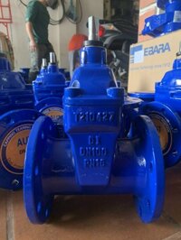 Van cổng ty chìm aut dn50