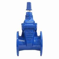Van cổng ty chìm DN50 nắp chụp hiệu Shinyi