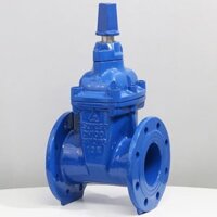 Van cổng ty chìm nắp chụp Shinyi DN50
