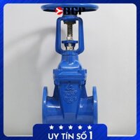 Van cổng (van cửa) tay quay ty nổi Shin Yi (RRHX) SIZE DN50, DN65, DN80, DN100, DN125, DN150, DN200, DN250, DN300, DN350