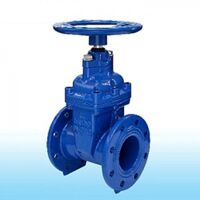 VAN CỬA CAO SU MẶT BÍCH PHI 60