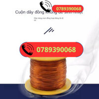 Van Điện Từ Cao Áp 2wh018-08 2 Phút/3 Phút Van Khí Cao Áp Chịu Áp Lực 25Kg AC220V DC24V