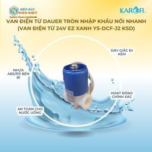 Van điện từ Dauer