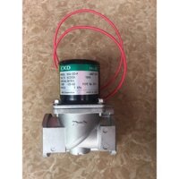 Van điện từ DSG-20-P CKD Nhật