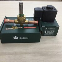 Van điện từ Hongsen phi 12