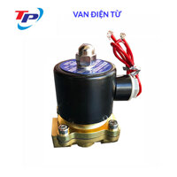 Van Điện Từ Phi 21