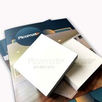 Ván nhựa Picomat PVC