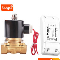 Van Nước Điện Từ Điều Khiển Từ Xa Wifi SmartHomePlus SHP-VN6