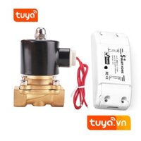 Van Nước Điện Từ Điều Khiển Từ Xa Wifi SmartHomePlus SHP-VN6