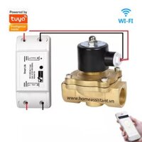 Van Nước Điện Từ Wifi Tuya Phi 21 27 34 WVDT (Smart Life)