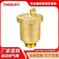 Van Tangke Áp Lực Bình Thường Van Thoát Khí Có Ren Toàn Đồng Van Thẳng Tự Động Xả Khí Van Xả Một Chiều Nhanh