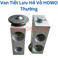 Van Tiết Lưu Ô tô Tải Howo (Hổ Vồ) Thường Giá Tốt, Van Tiết Lưu Xe Tải Howo (VTL) Thay Thế Sửa Chữa Máy Lạnh Ô tô Giá Rẻ