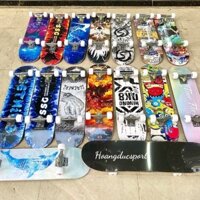 Ván trượt mặt nhám Skateboard, trượt ván, ván trượt thể thao gỗ ép 8 lớp