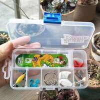 Ván trượt ngón tay Mini Ván trượt W / Phụ kiện Hộp quà tặng đồ chơi #05