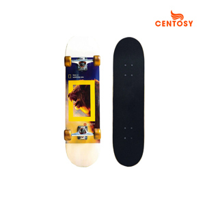 Ván trượt Skate 950-08