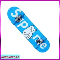 Ván Trượt SkateBoard Siêu Đẳng Mèo Trắng 1000-17 GiayPatinCentosy1