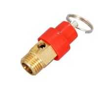 VAN XẢ KHÍ XÚP BẮP 21MM (NẮP ĐỎ)