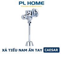 Van xả tiểu nam caesar BF412G