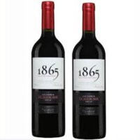 Vang 1865 Selected Vineyard Cabernet Sauvignon 14% vol chai 750ml Chile