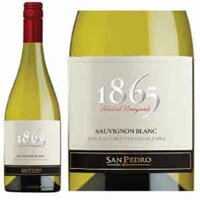 Vang 1865 Selected Vineyards Sauvignon Blanc Chile 13% vol 750ml