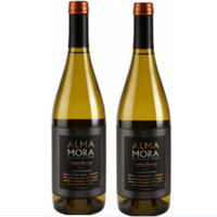 Vang ALMA MORA Select Reserve Chardonnay Argentina