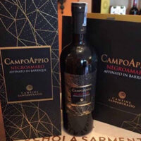 Vang Campo Appio Negroamaro Puglia Italia