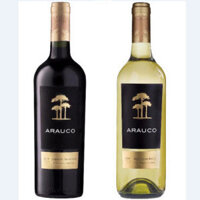 Vang Chile Arauco Cabernet Sauvignon và Arauco sauvignon blanc 750ml thùng 12 chai