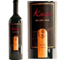 Vang Chile Kayen Icon Wine Cao cấp 14% vol chai 750ml