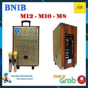 Vang cơ BNIB M10
