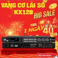 Vang Cơ Lai SỐ JBI KX-120, ECHO ,REVERB, FBX Chống Hú Tự Động, Chip Xử Lý Công Nghệ Mới 48bit DSP,Chế Độ Effect