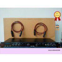 Vang cơ YAMAHA dsb 100  chống hú cao cấp-Vang Cơ Chất Âm Tuyệt Vời tặng dây canon