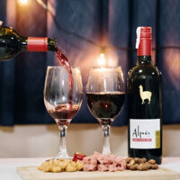 Vang đỏ Chile Alpaca Cabernet Sauvignon 13% vol Chai 750ml