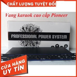 Vang Karaok Pioneer NB-W306