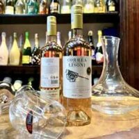 Vang Sauvignon Blanc Familia Correa Lisoni Chie 13% vol chai 750ml