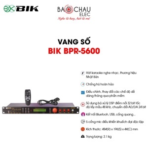 Vang số Bik BPR-5600