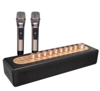 Vang số chỉnh cơ tích hợp Bluetooth & Micro Acnos MI30S - Hàng chính hãng