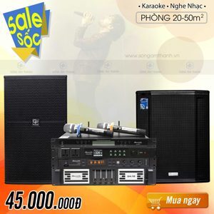 Vang số DBacoustic S520