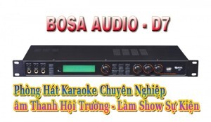 Vang số karaoke D7
