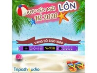 Vang số Siso 1080 chính hãng Tripath