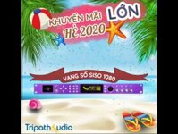 Vang số Siso 1080 chính hãng Tripath