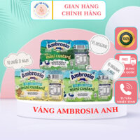 Váng sữa Ambrosia Anh lốc 6 hộp