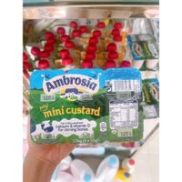 Váng sữa AMBROSIA anh quốc vỉ / 6 hộp