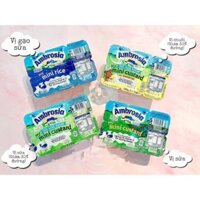 VÁNG SỮA AMBROSIA MINI CUSTARD