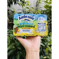 Váng sữa Ambrosia Uk cho bé 6m+