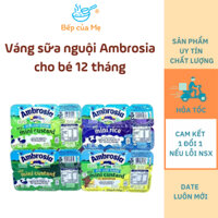 Váng sữa cho bé ăn dặm thơm ngon bổ dưỡng Ambrosia, cho bé 6 tháng, Shop Bếp Của Mẹ