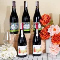 Vang tươi 2023 – Beaujolais Nouveau Day – 16 tháng 11 hứa hẹn mới