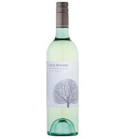 Vang Úc Cool Woods Sauvignon Blanc 12% vol chai 750ml nhập khẩu nguyên thùng