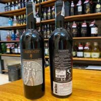 Vang Ý Tridente Salento Rosso IGP 14.5% vol 750ml
